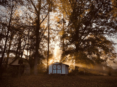 backyard_shed