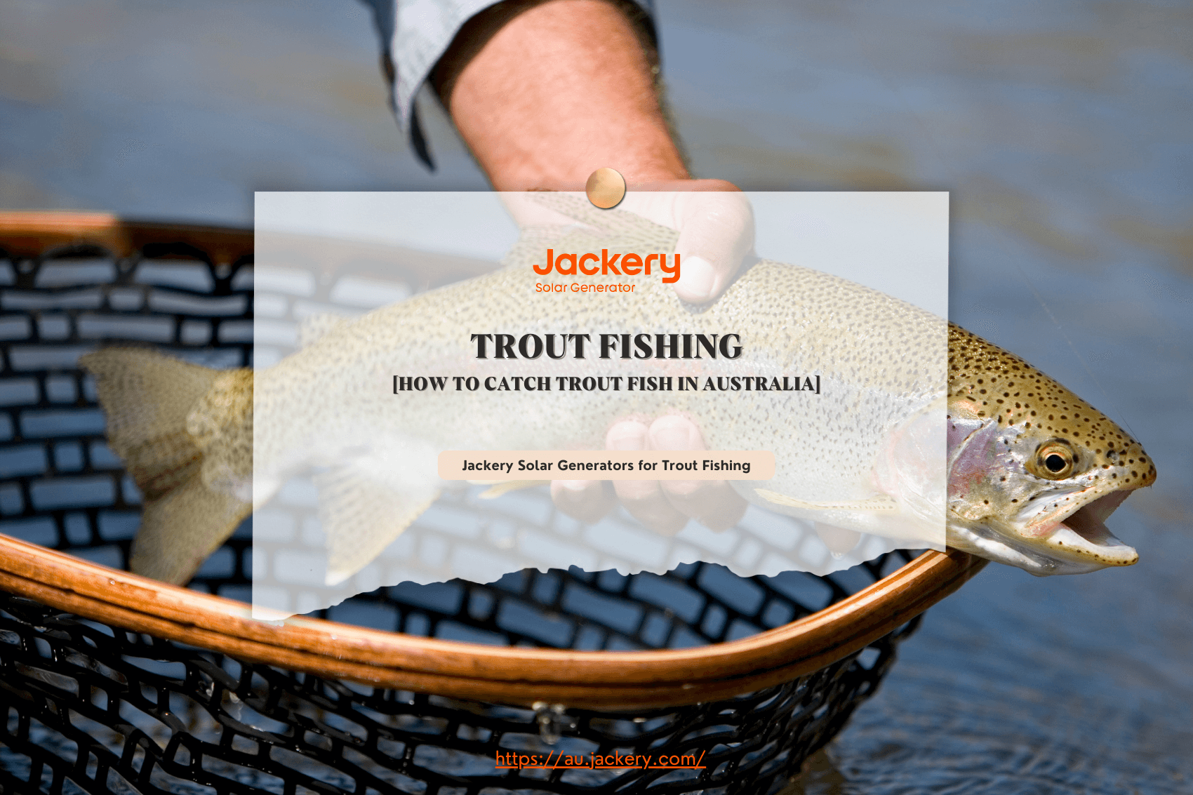 Trout Fishing 101: How to Catch Trout Fish in Australia - Jackery