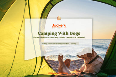 How-To Camping With Dogs: Dog-Friendly Camping Spots in Australia