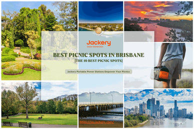 The 10 Best Picnic Spots in Brisbane That You'll Love