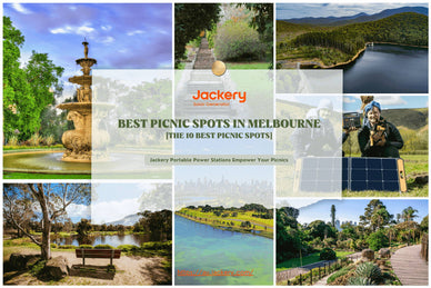 The 10 Best Picnic Spots in Melbourne to Visit All Year Around