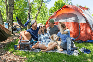 camping-with-pets-must-haves