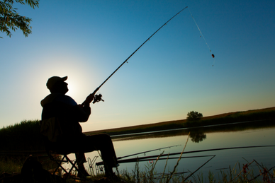 Australians Participate in the Recreational Fishery