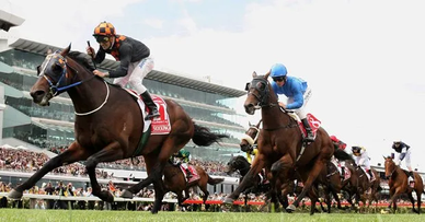 Solar Generator in Melbourne Cup Field