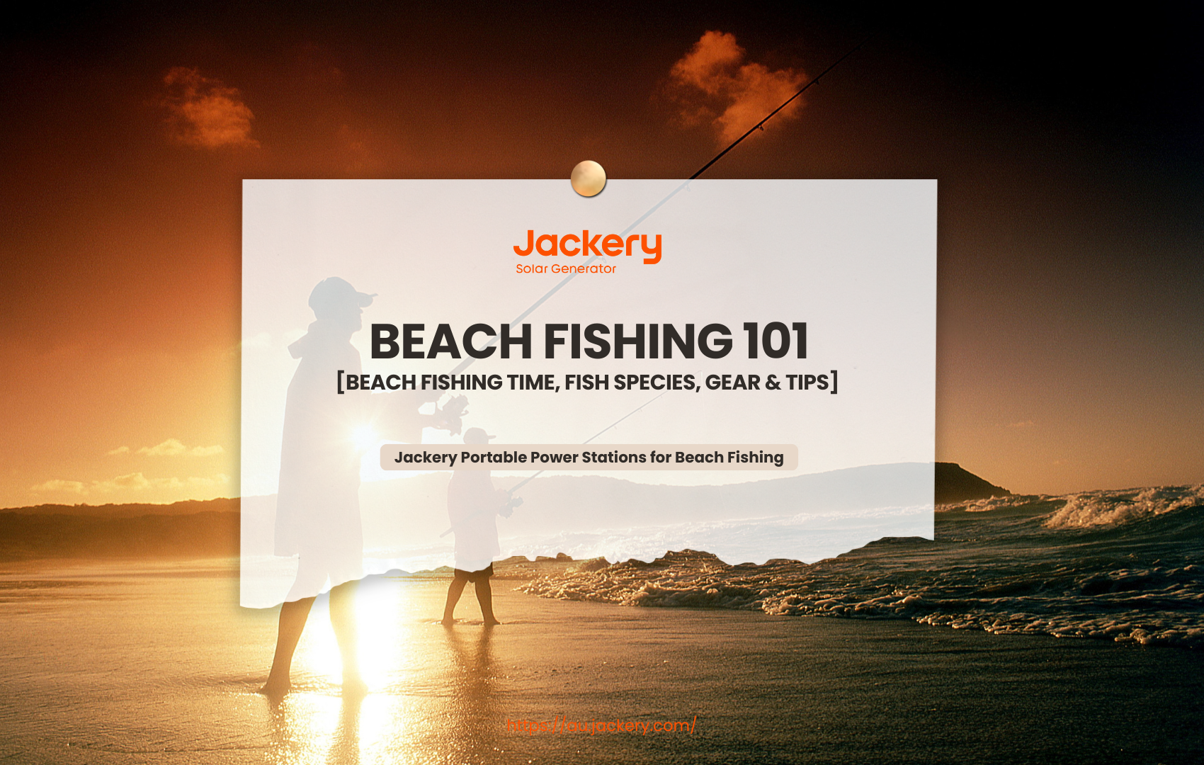 beach fishing guide