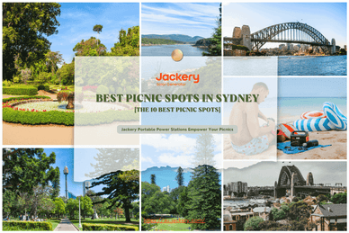 The 10 Best Picnic Spots in Sydney That You'll Love