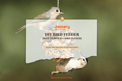 diy bird feeder