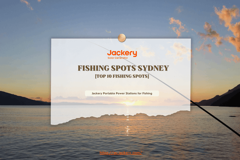 fishing spots sydney