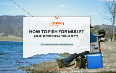 how to fish for mullet guide