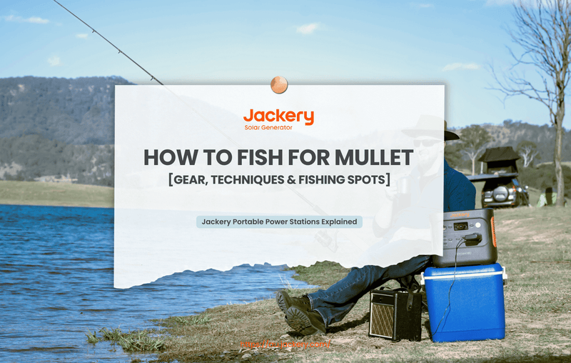 how to fish for mullet guide