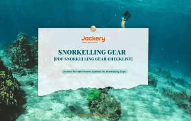 snorkeling gear