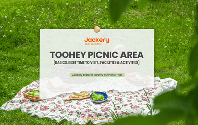 toohey picnic area guide