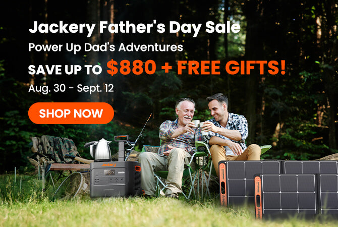 fathers day sale