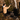 Filming_pc