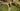 Jackery_Overview_with_Simon_LOCKY.mp4_20240514_144057.583