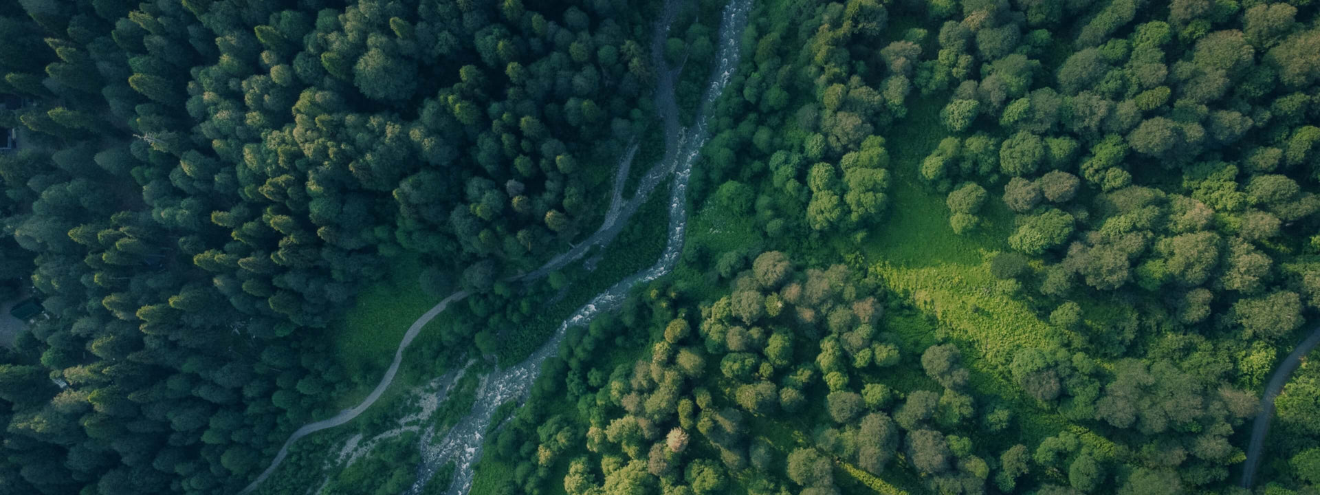 about-us-milestone-pc